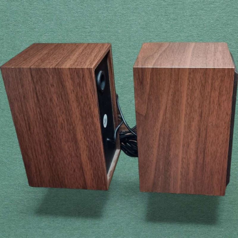 Głośniki Esperanza Folk 2.0