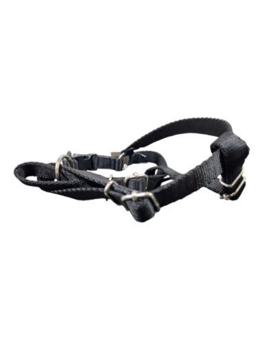 Lord Szelki z Taśmy z Górnym Zatrzaskiem 55cm